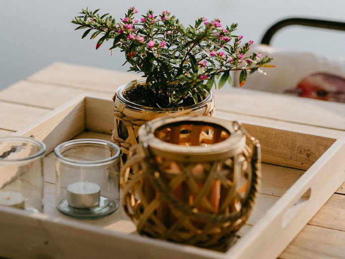 Food & Drinks 5, Geel Chalet in Netevallei, Antwerpen