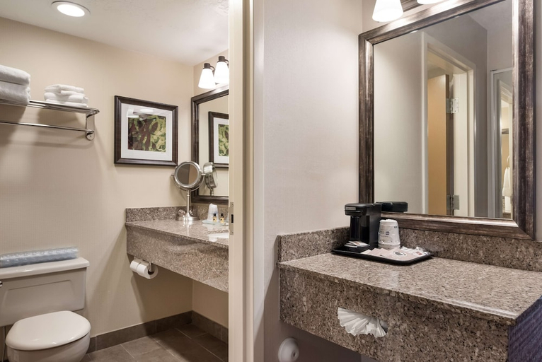 Bathroom 4, Best Western Plus Cedar City, Iron