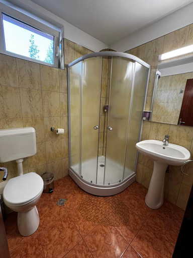 Bathroom, Pensiunea Doina Sacele, Sacele