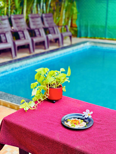 Sport & Beauty 2, Anant Villa and Resort, Raigarh