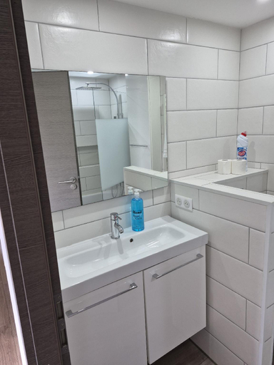 Bathroom 3, L'arbre de vie, Moselle