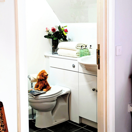 Bathroom, Ben Cruachan inn, Argyll and Bute