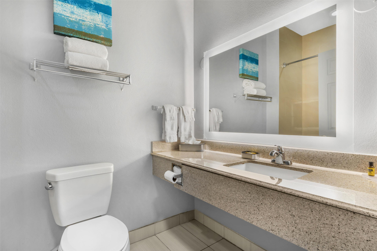 Bathroom 4, Best Western Plus Fort Worth Forest Hill Inn & Suites, Tarrant