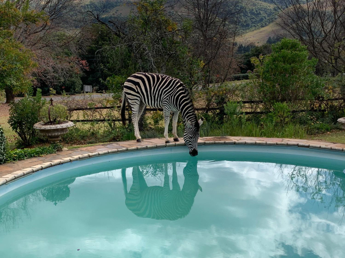 Sport & Beauty 2, Cathkin Cottage Bed and Breakfast, Uthukela