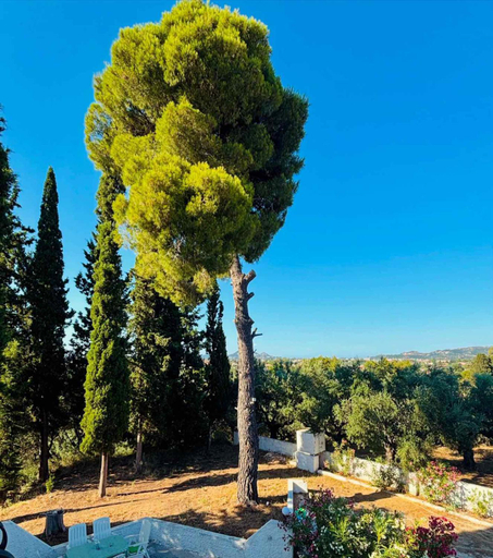 3, Casa Angelina 2, Ionian Islands