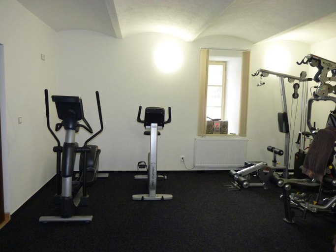 Others 4, Penzion U Housku, Jindřichův Hradec