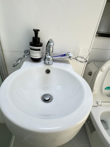 Bathroom 3, Central Seoul loft apartment, Yongsan