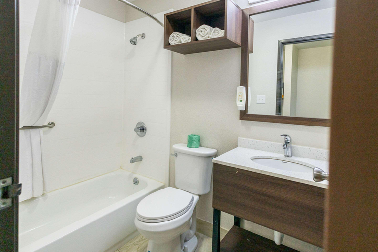 Bathroom 4, Quality Inn Carrollton, Carroll