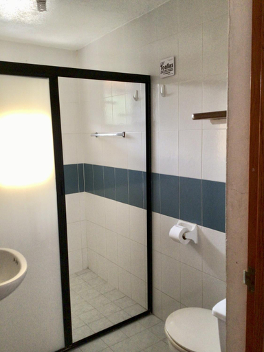 Bathroom, Hotel Villa Tulipanes, José Azueta