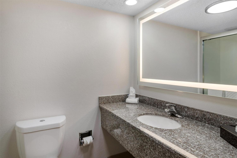Bathroom 4, Best Western Augusta West, Columbia