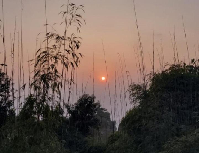 Others 5, Sreemoyee Homestay, Golaghat