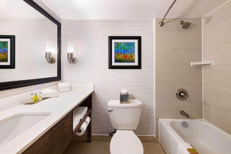 Bathroom 4, Doubletree By Hilton Hotel Denver - Thornton, Adams