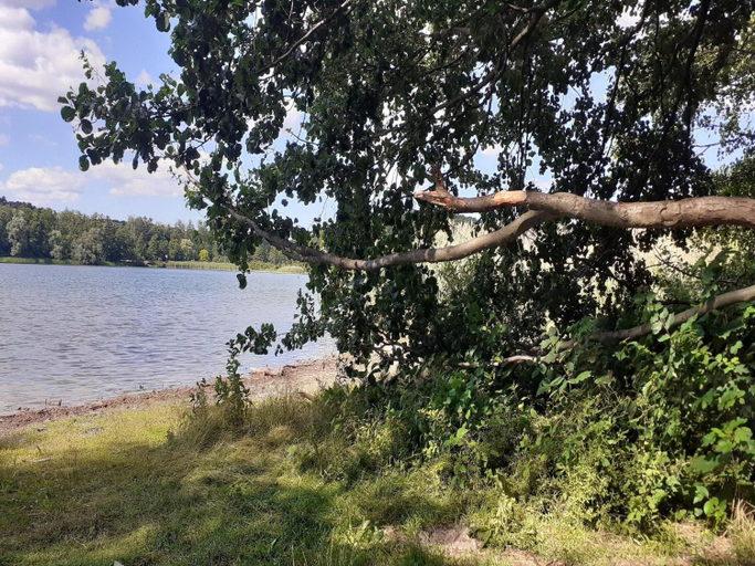 Others 4, Doppelhaushalften, Strausberg, Märkisch-Oderland
