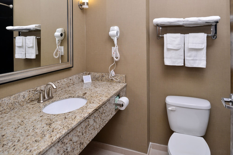 Bathroom, Comfort Inn & Suites Winnie, Chambers