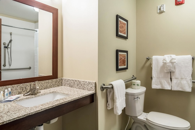 Bathroom 3, Comfort Inn Edwardsville - St. Louis, Madison