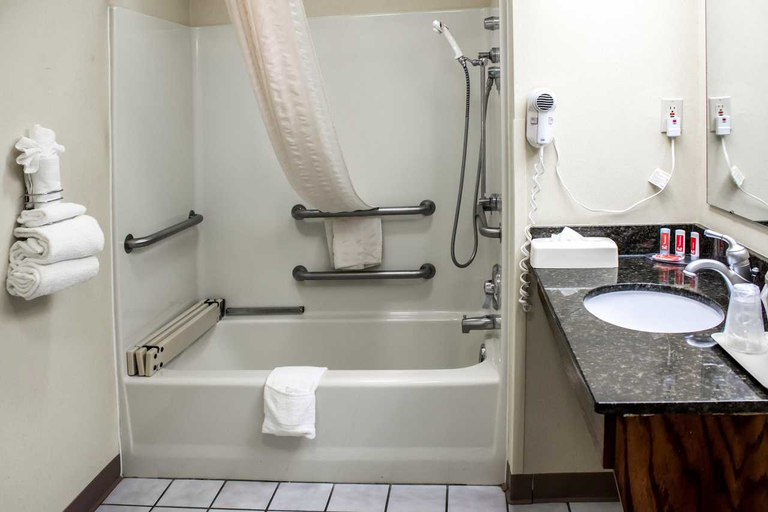 Bathroom 4, Econo Lodge Greenville near University, Pitt