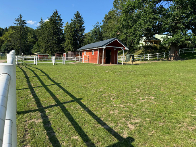 Others 2, Agroturystyka Zielony Zakatek w Wiewiecku, Łobez