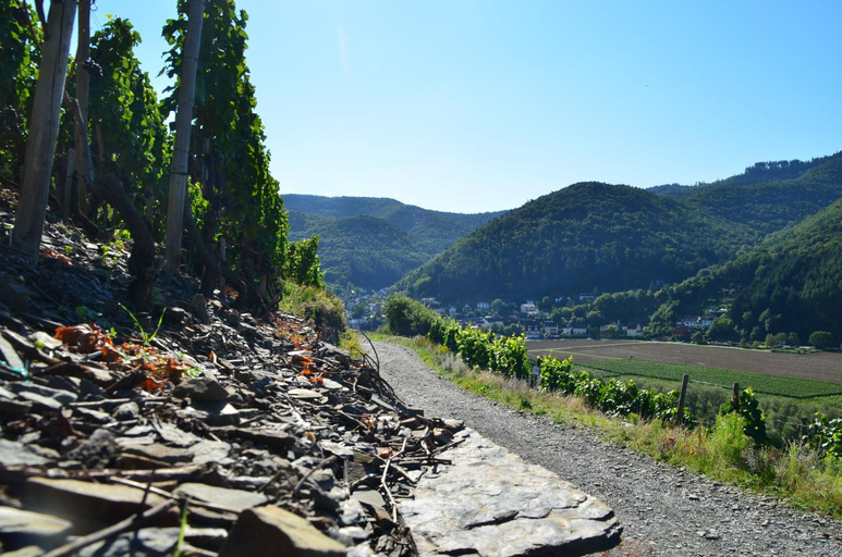 Others 5, Jagdhaus Rech - Ahr, Ahrweiler