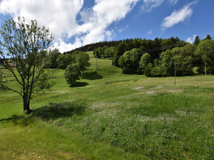 Others 4, Chalet in Saulxures near Ski Resorts, Vosges