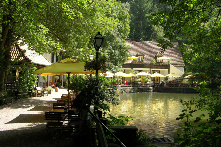 Exterior & Views 2, Waldhotel Silbermühle, Lippe