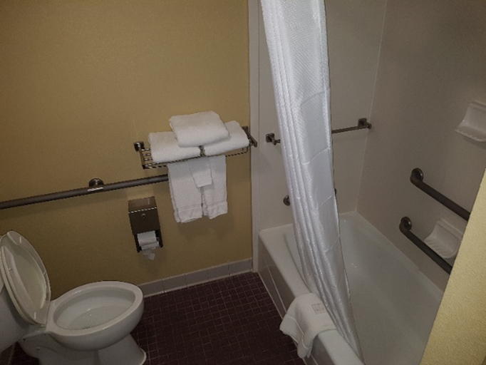 Bathroom, Dublin Inn and Suites, Laurens