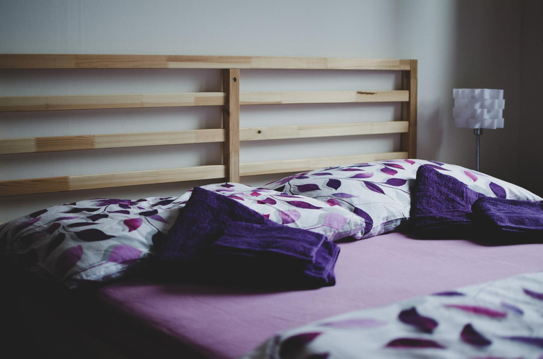 Bedroom 3, Penzion U Statku, Jindřichův Hradec