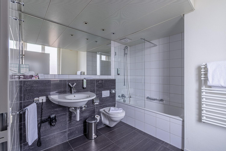 Bathroom 4, Royal Hotel, Basel