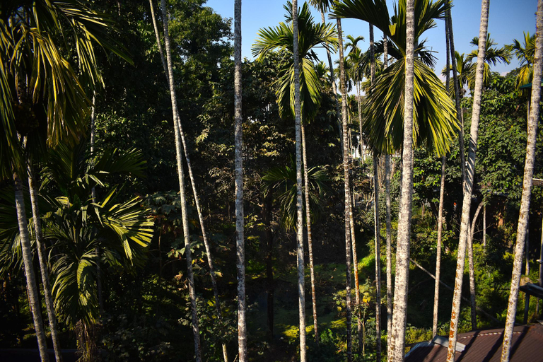 Others 4, Jaldapara Binaychapa Homestay, Alipurduar