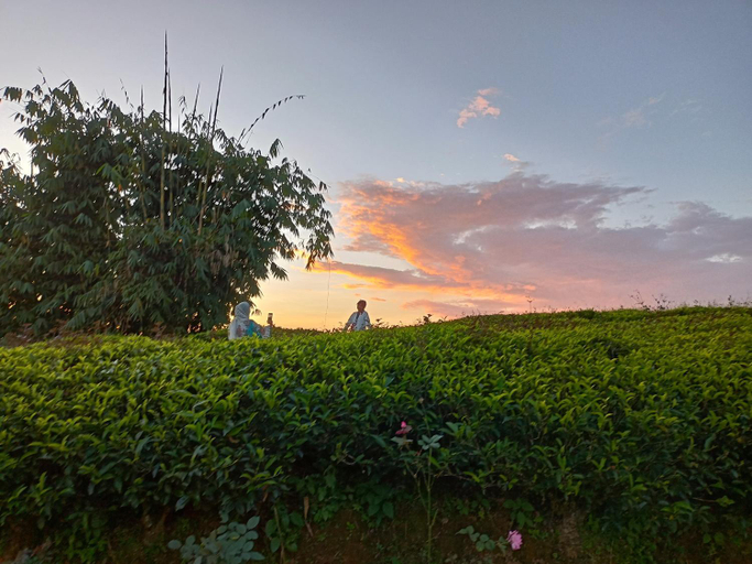 Others 4, Theeng's Homestay(MIRIK), Darjiling