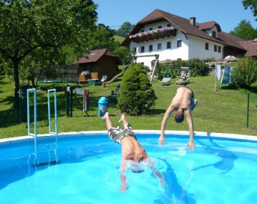 Others 5, Ferienhof Pfaffenlehen, Steyr Land