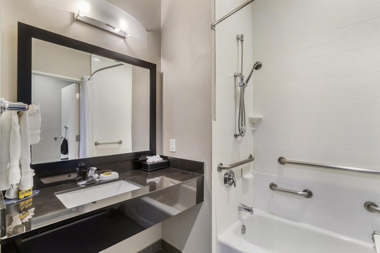 Bathroom 4, Best Western Plus Laredo Inn & Suites, Webb