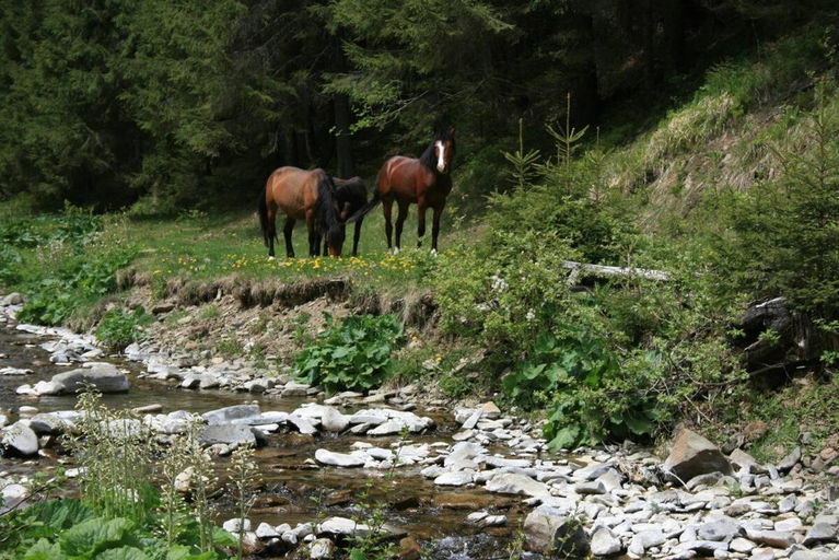 2, Cottage Ozerniy, Rakhivs'kyi