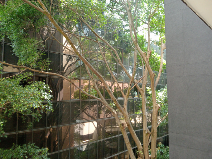 Public Area 3, Hotel Rulay Medellin, Medellín