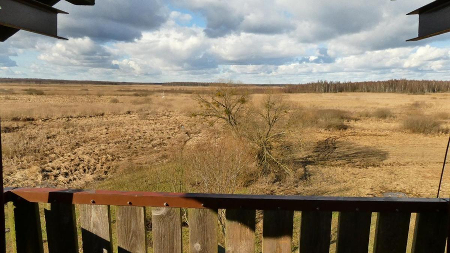Surrounding environment 5, Dworek na Koncu Swiata nad Biebrza na Podlasiu, Sokółka