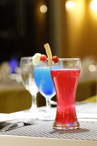 Food & Drinks 5, Hotel Silver Heights, Ahmadabad