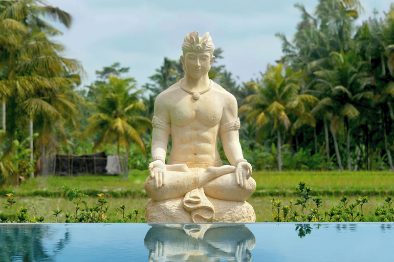 Sport & Beauty 3, Gilded Palms Villa, Ubud Payangan, Bali, Gianyar