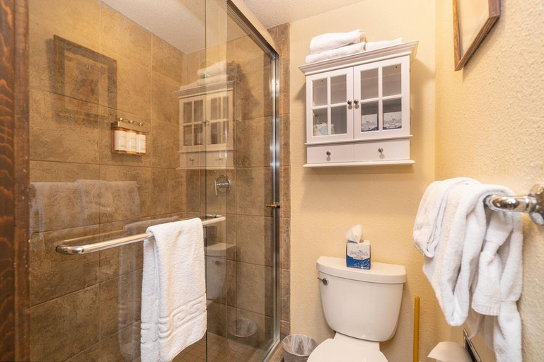 Bathroom 3, Manitou Lodge 10 by Alpine Lodging Telluride, San Miguel