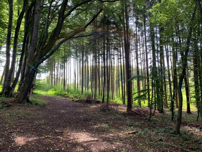 Others 3, Zimmer mit Bergblick, Starnberg
