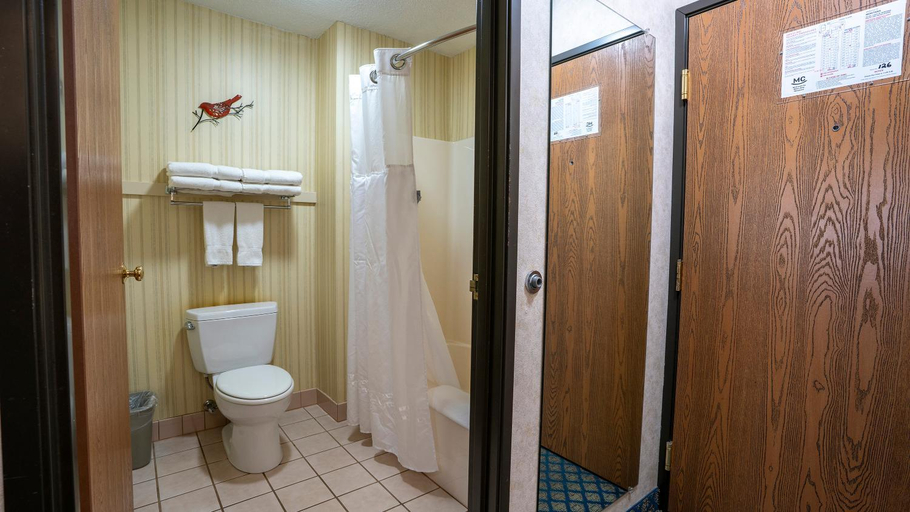 Bathroom 4, Miles City Hotel & Suites, Custer