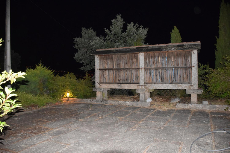 5, A Casa da Sofia, Vila Real