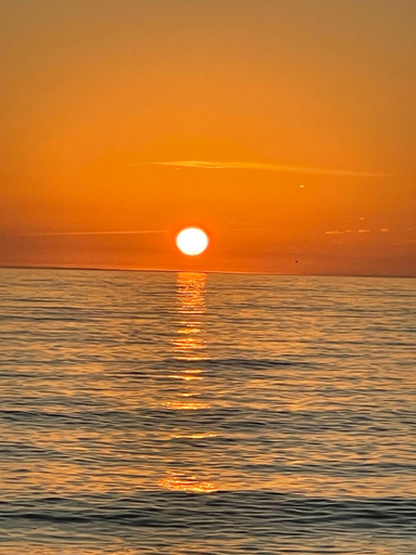 Others 4, Sea Crest, Sarasota