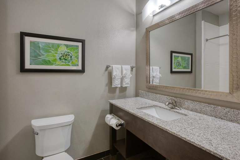 Bathroom 3, Best Western Plus Tech Medical Center Inn, Lubbock