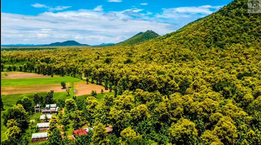 4, Bear Valley Camp, Panna