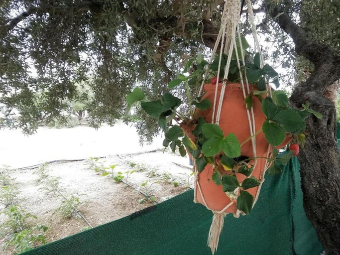 Others 5, Studio with sea view, Creta, Ierapetra, Crete