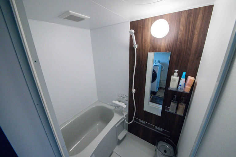 Bathroom 3, Landmark Annex, Furano