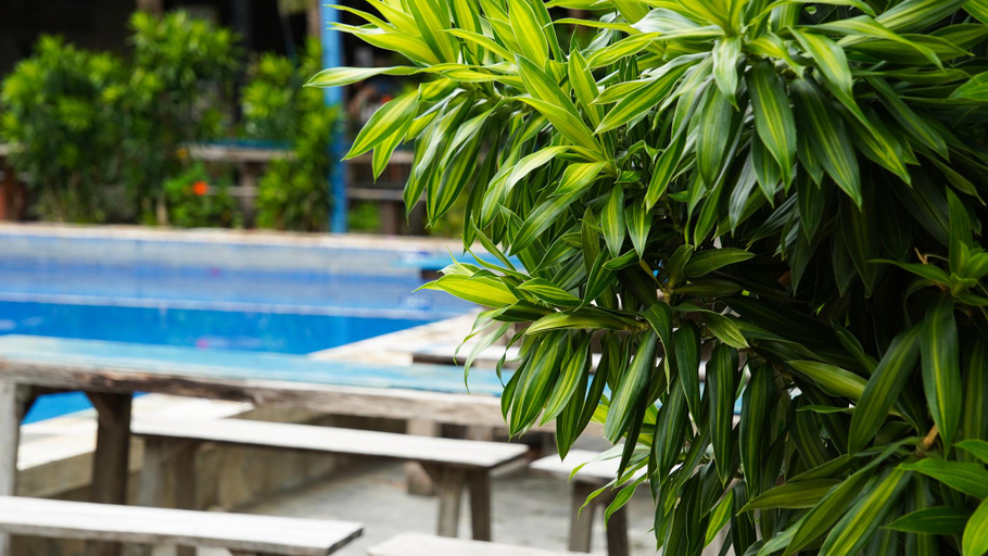 Sport & Beauty 5, Stop And Go Lang Chai Boutique Resort, Bắc Bình