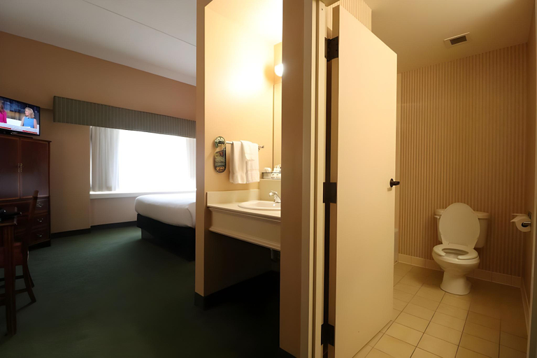 Bathroom 4, Hotel Mead and Conference Center, Wood