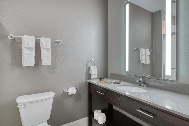 Bathroom 4, Best Western Plus Saint Peter, Nicollet