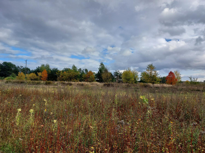 Surrounding environment