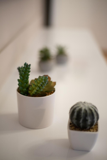 Food & Drinks 4, MEDLUXE COZY APARTMENT!, Attica